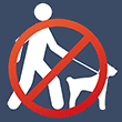 dogs on or off leash